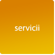 servicii